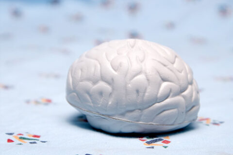 Brain (Image: Colourbox)