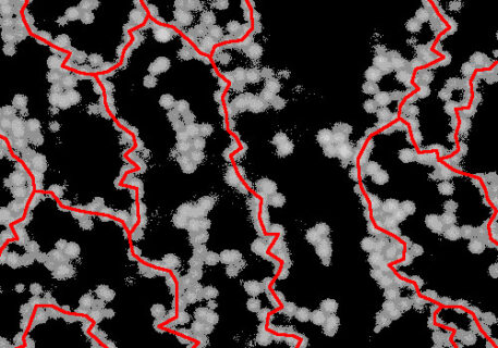 Zum Artikel "FAU researchers show how gels develop their solid properties"